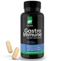 Daiwa GastroImmune® – Gut Health, Leaky Gut Repair & Bloating Relief | Powered by ImmunoLin® | 60 Vegetarian Capsules